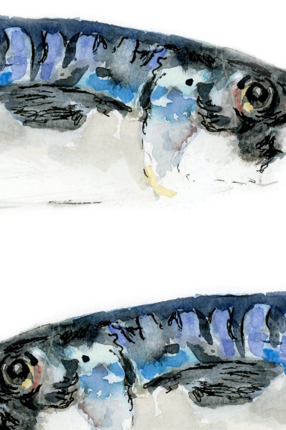Drie makrelen | Aquarel kunstprint